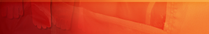 Asbestos Removal Glovebags